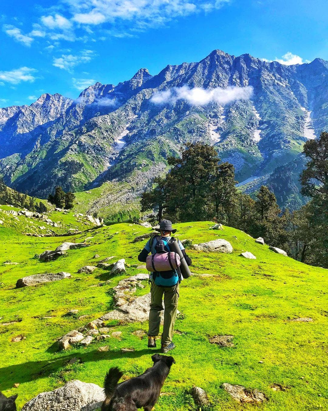 Shimla — Shimla, Himachal Pradesh · Kasol