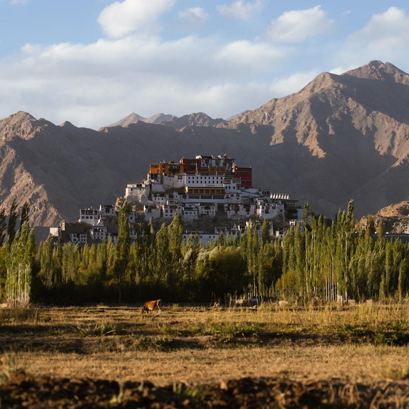 Ladakh